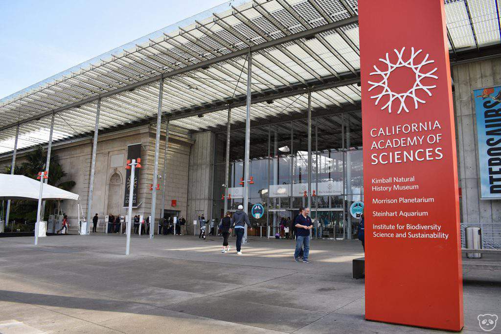 California Academy of Sciences, california academy of sciences events, california academy of sciences architecture