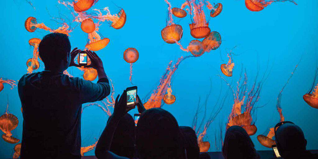 Monterey Bay Aquarium, monterey bay aquarium events